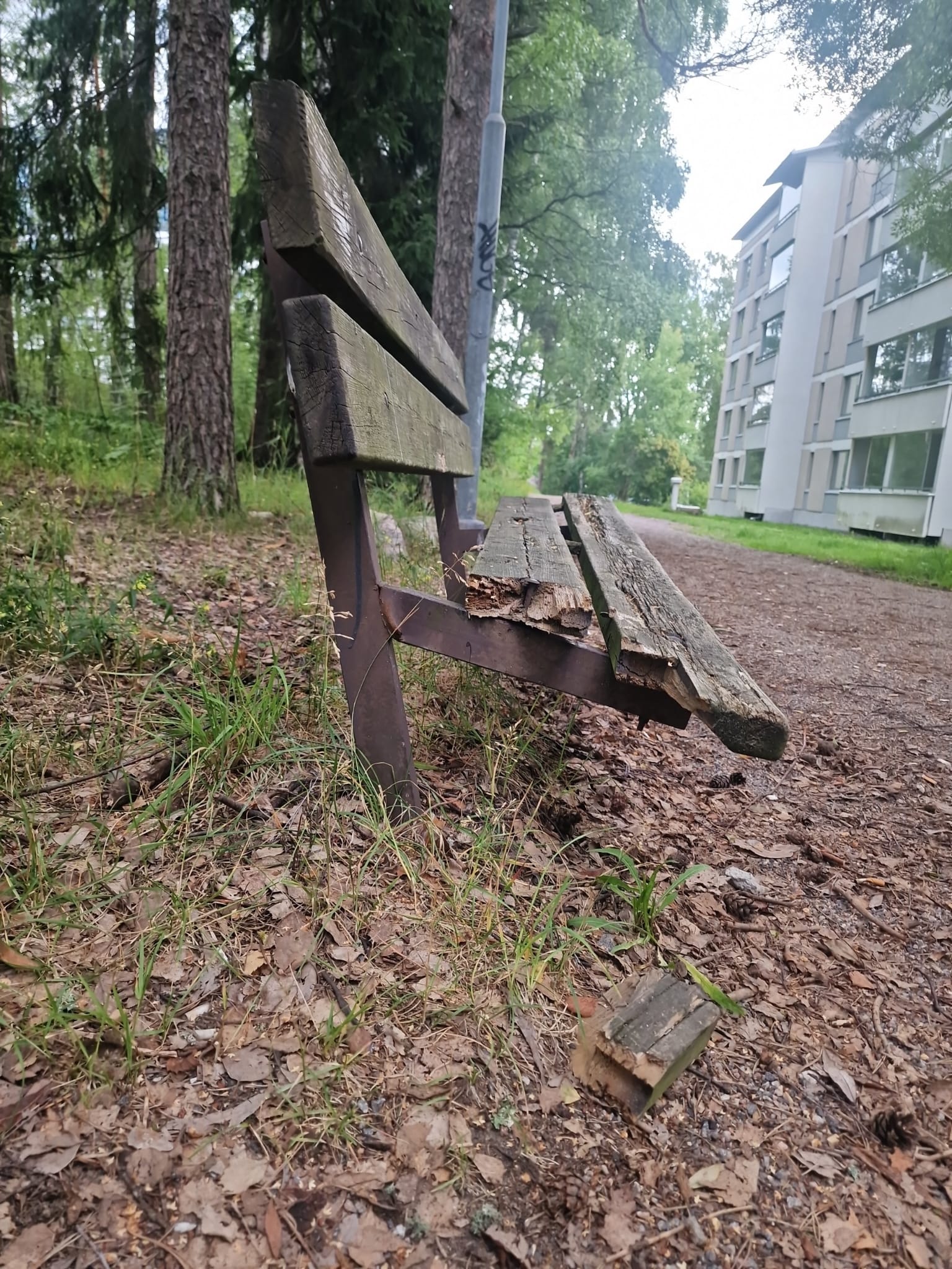 Penkki
